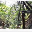 영공 오산공군기지점 | [추석여행 경주] 일반백성의 무덤과 비슷한~ "희강왕릉"