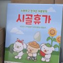 다이소 대전한밭대점 이미지