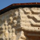 종합운동장 인공암벽등반 이미지