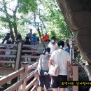 포천한탄강하늘다리 이미지