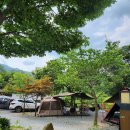 Najost Camp 네이버블로그