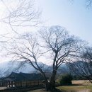 낙안읍성 관광안내소 이미지