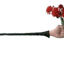 누가꽃이개 이미지