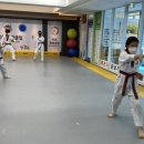 비호 태권도장 이미지