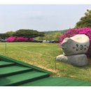 삼남개발(주) 기흥컨트리클럽 이미지