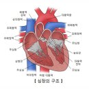 연세하트내과의원 이미지