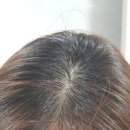 엘에이치팜 이미지