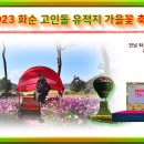 화순 고인돌 유적지 가을꽃 축제 10월20일~10월29일) 이미지