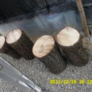 일출농장 이미지