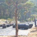 블루베리 이미지