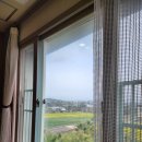 원목장 | 제주도 서귀포 오션뷰 복층 제이큐브 펜션 2박 3일 연박 솔직후기 (feat. 흑돼지 바베큐)