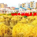 계선농장 이미지