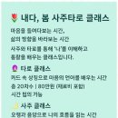 부산여행사주