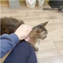 코바늘 뜨개 소품 만들기 이미지