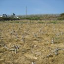 자연농원 이미지