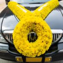 일신장의 이미지