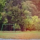 금광모터스 이미지