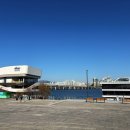오뚜기공원 | 여의도 한강공원, 한강 라면 후기! 한강뷰 보면서 데이트