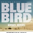 블루버드(BLUEBIRD)