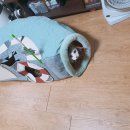 디자인팩토리&보트팩토리