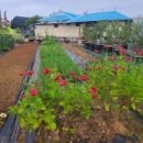 복운2리마을회관 이미지