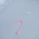 형제셀프세차장 이미지