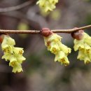 천수암 위 이미지