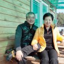 안씨농장 이미지