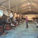 도학초등학교 이미지