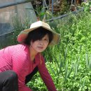 음성농장 이미지