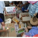 코스타몰 이미지