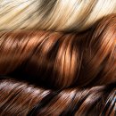 컷트랑파마랑 이미지