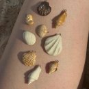 북면125 | 8월 마감