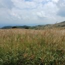 대지사슴농장 이미지