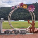 낙동생오리 이미지