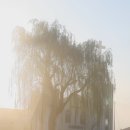 운산목장 Daum카페