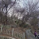 백룡사석조여래좌상 이미지