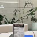 스노우의원 안산점 이미지