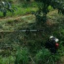 샛터농장 이미지