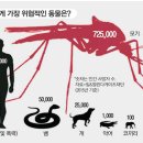 주식회사동원테크 티스토리
