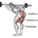 굿모닝헬스 이미지