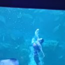 주식회사 한국외환은행 이미지