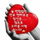 천년지기 이미지