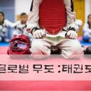 사랑한태권도 이미지