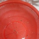 토토홈케어