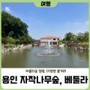 베툴라 자작나무숲 펜션 이미지