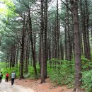 곰배령이야 | 인제 곰배령 홈페이지 예약하기
