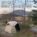 경북 봉화 청량산 나무네숲캠핑장 명당사이트 캠핑후기