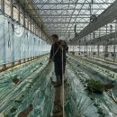 강화섬농장 이미지