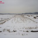 정림보건진료소 이미지